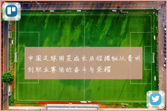 中国足球明星成长历程揭秘从青训到职业赛场的奋斗与荣耀