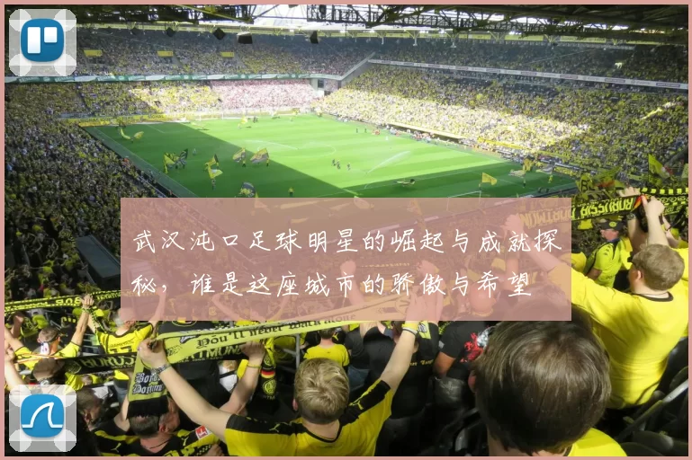 武汉沌口足球明星的崛起与成就探秘，谁是这座城市的骄傲与希望