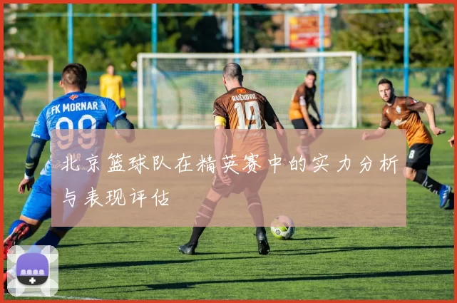 北京篮球队在精英赛中的实力分析与表现评估