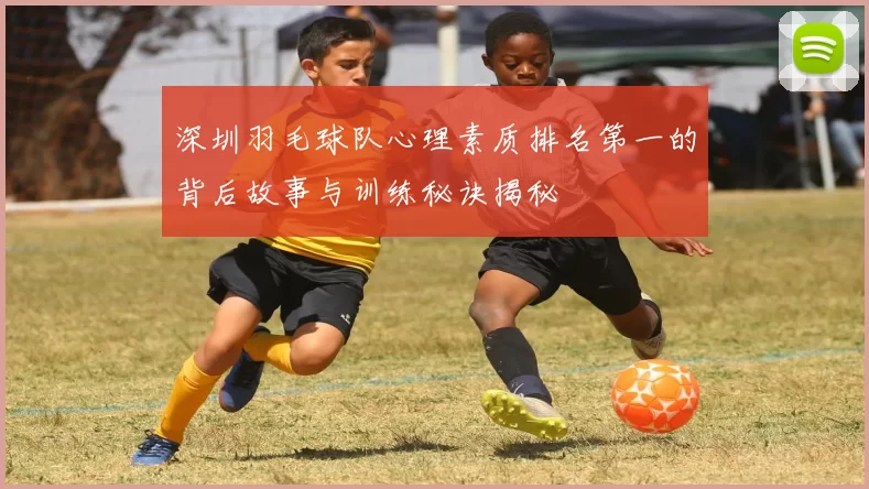 深圳羽毛球队心理素质排名第一的背后故事与训练秘诀揭秘
