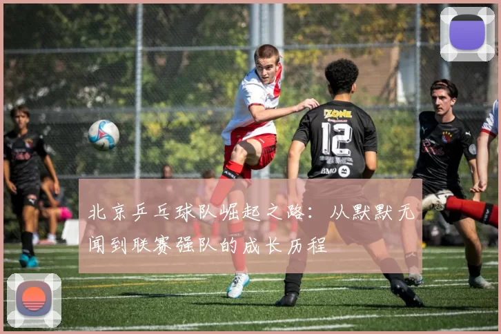 北京乒乓球队崛起之路：从默默无闻到联赛强队的成长历程