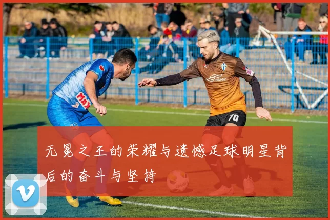 无冕之王的荣耀与遗憾足球明星背后的奋斗与坚持