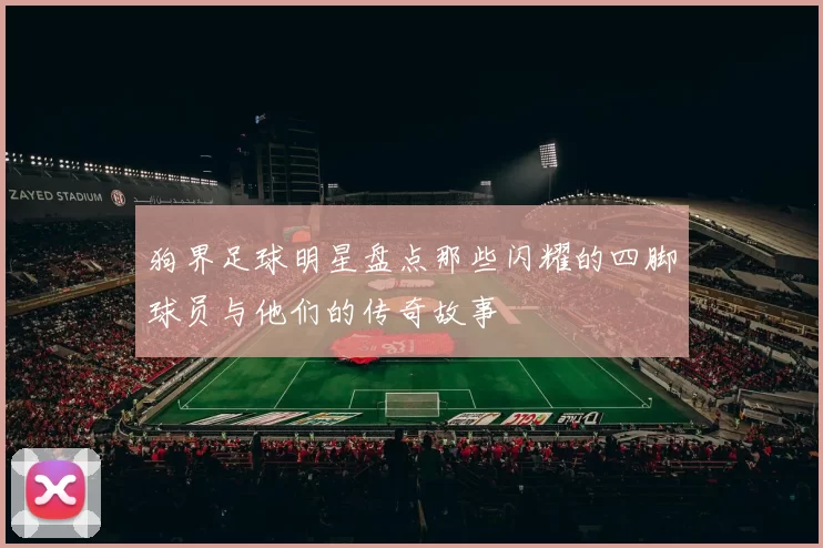 狗界足球明星盘点那些闪耀的四脚球员与他们的传奇故事