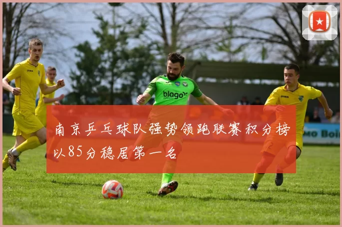南京乒乓球队强势领跑联赛积分榜以85分稳居第一名
