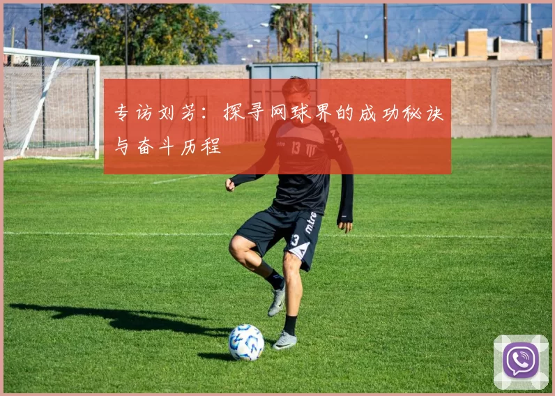 专访刘芳：探寻网球界的成功秘诀与奋斗历程