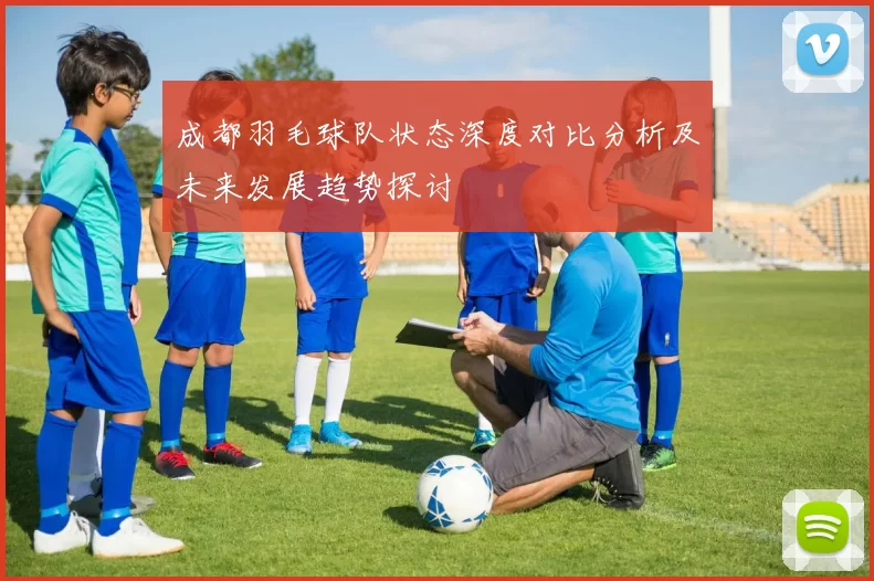 成都羽毛球队状态深度对比分析及未来发展趋势探讨