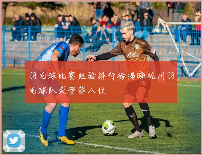 羽毛球比赛经验排行榜揭晓杭州羽毛球队荣登第八位