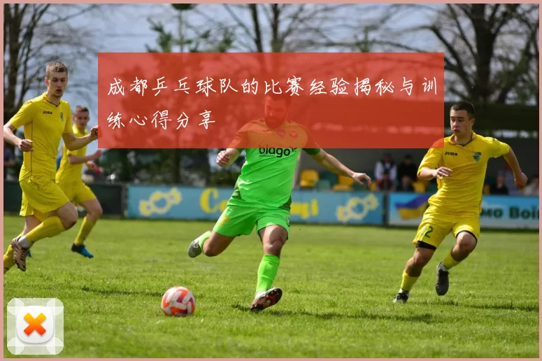 成都乒乓球队的比赛经验揭秘与训练心得分享
