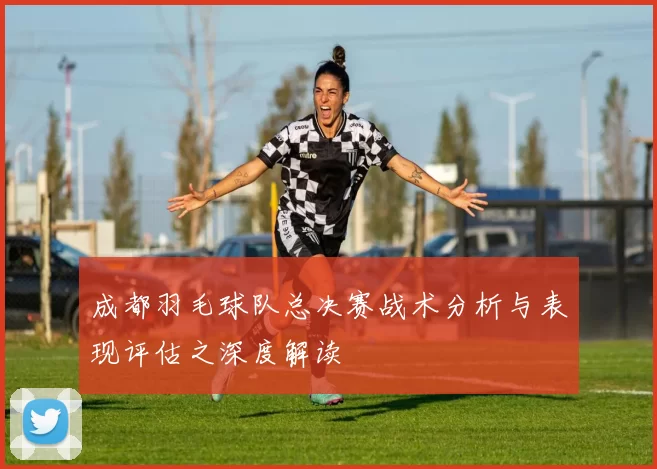 成都羽毛球队总决赛战术分析与表现评估之深度解读