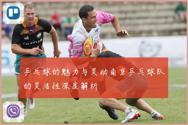 乒乓球的魅力与灵动南京乒乓球队的灵活性深度解析
