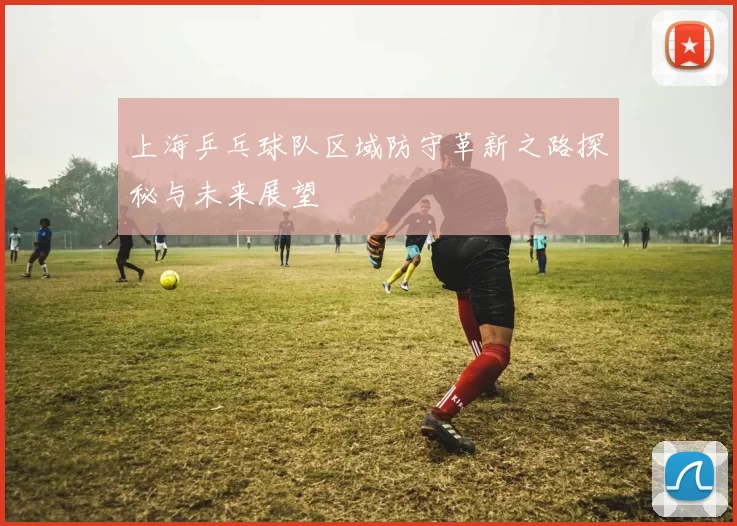 上海乒乓球队区域防守革新之路探秘与未来展望