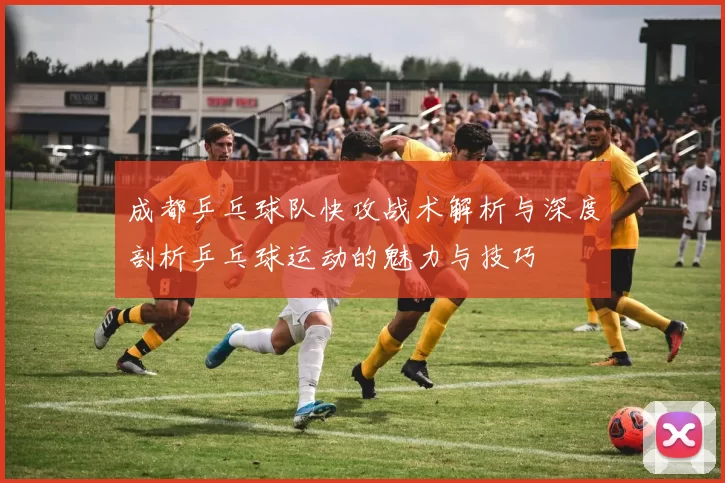 成都乒乓球队快攻战术解析与深度剖析乒乓球运动的魅力与技巧