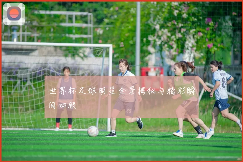 世界杯足球明星全景揭秘与精彩瞬间回顾