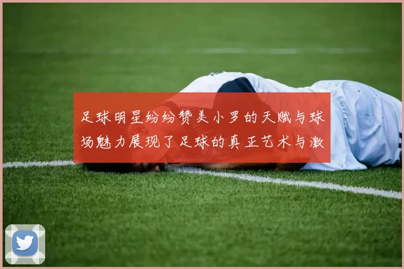 足球明星纷纷赞美小罗的天赋与球场魅力展现了足球的真正艺术与激情