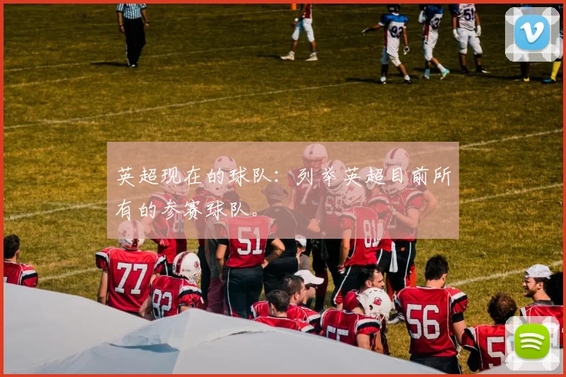 英超现在的球队：列举英超目前所有的参赛球队。