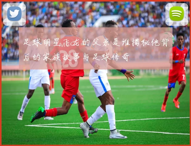 足球明星飞龙的父亲是谁揭秘他背后的家族故事与足球传奇