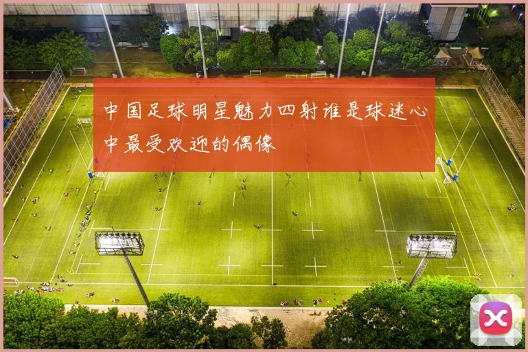中国足球明星魅力四射谁是球迷心中最受欢迎的偶像