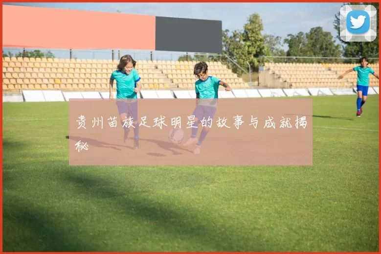 贵州苗族足球明星的故事与成就揭秘