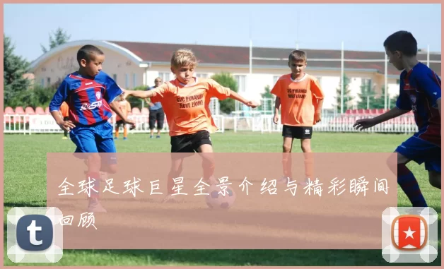 全球足球巨星全景介绍与精彩瞬间回顾