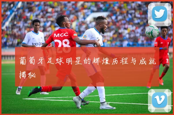 葡萄牙足球明星的辉煌历程与成就揭秘