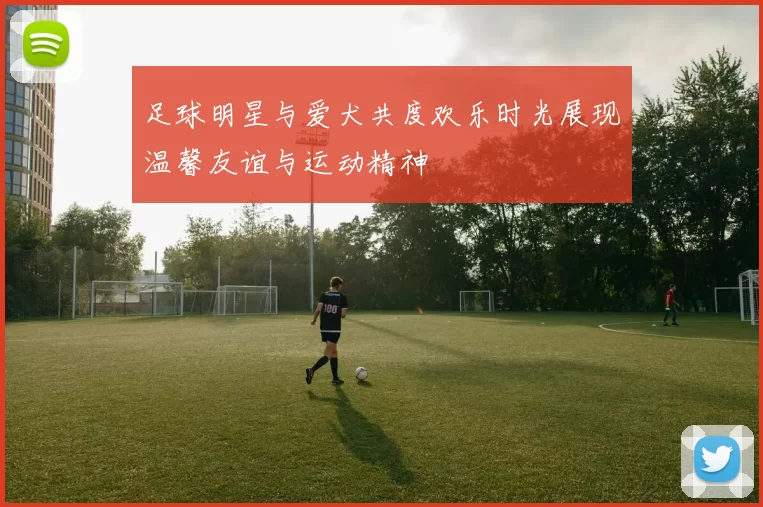 足球明星与爱犬共度欢乐时光展现温馨友谊与运动精神